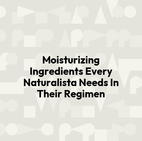 Moisturizing Ingredients Every Naturalista Needs In Their Regimen